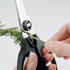 OXO Kitchen and Herb Scissors