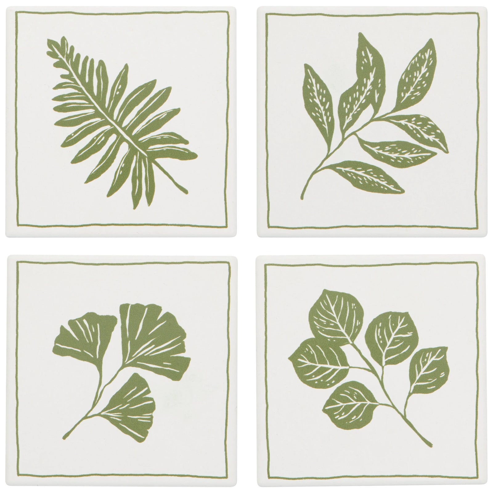 Danica Soak Up Coaster Set - Fern & Frond (S/4)