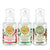 Michel Design Works Mini Foamer Hand Soap Set - Winter Scents