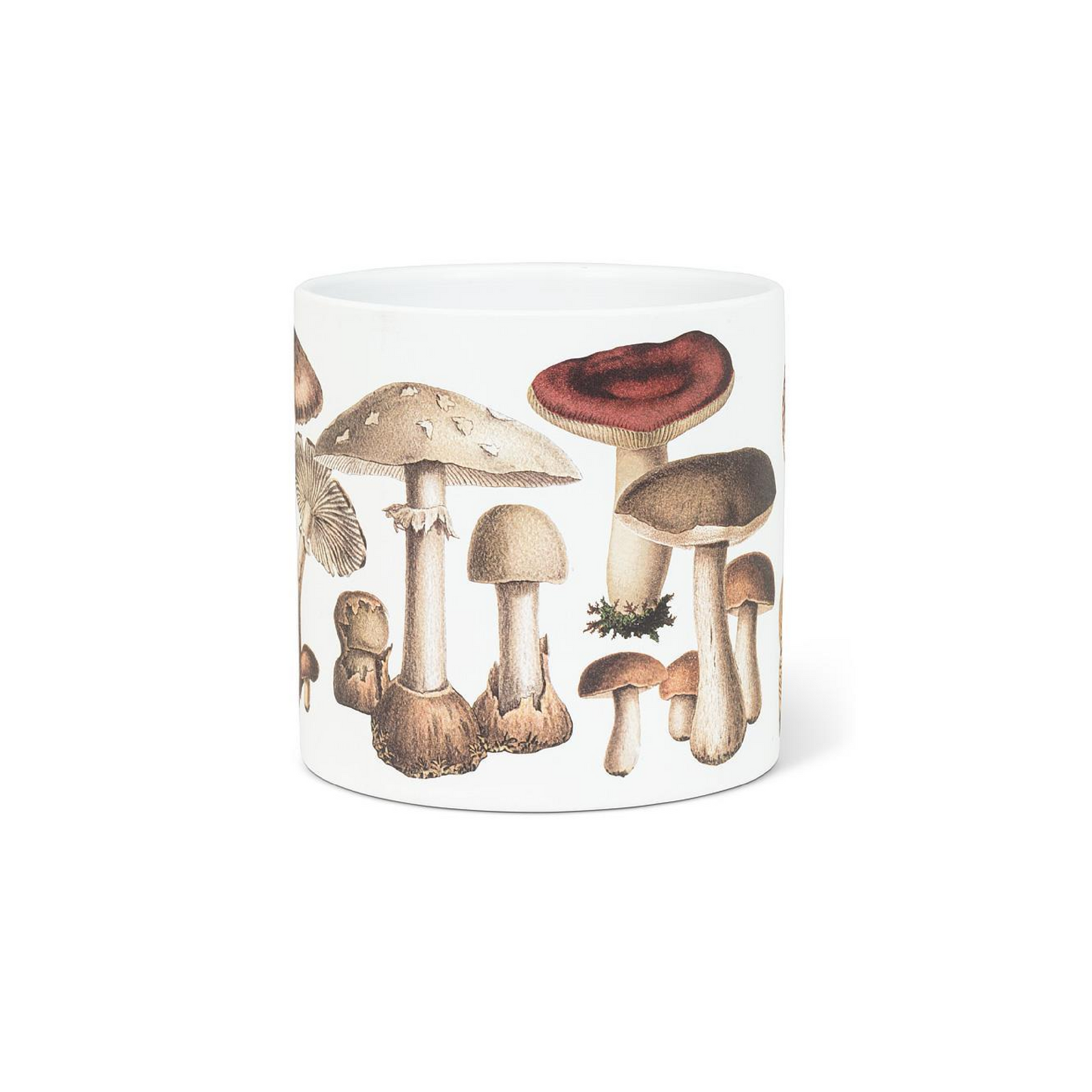Abbott Large Planter 6.5"  - Mushroom