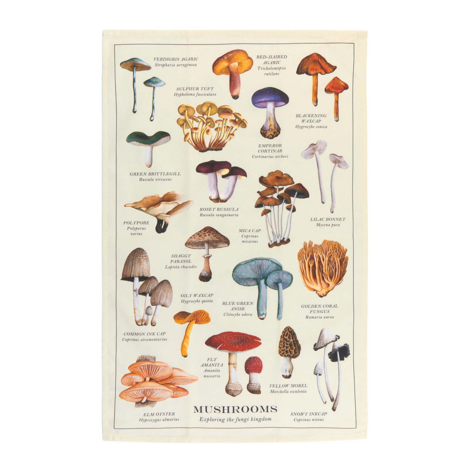 Danica Tea Towel - Mushroom