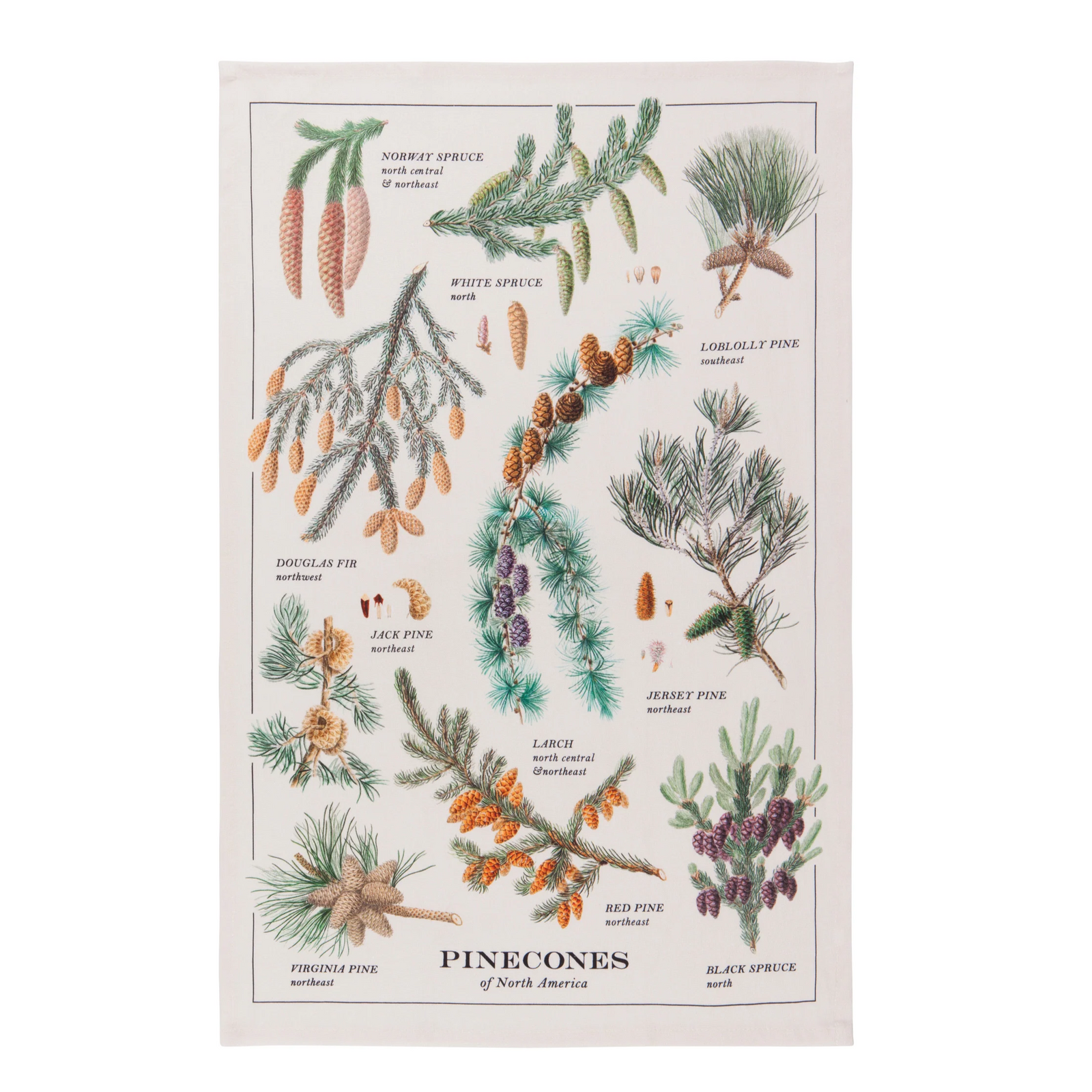 Danica Tea Towel - Pinecones