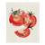 Harman Swedish Dish Cloth - Tomato