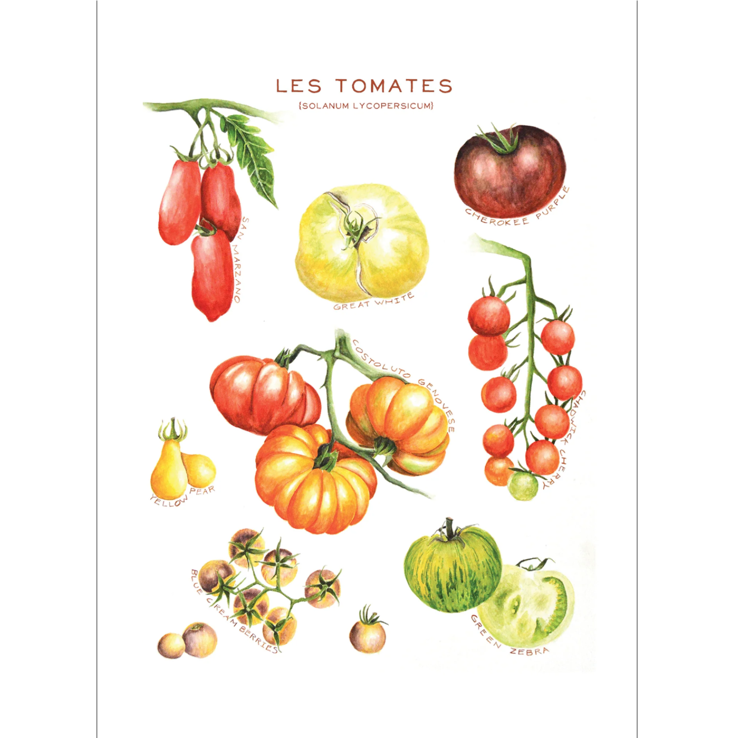 Maison Lorrain Kitchen Towel - Tomatoes