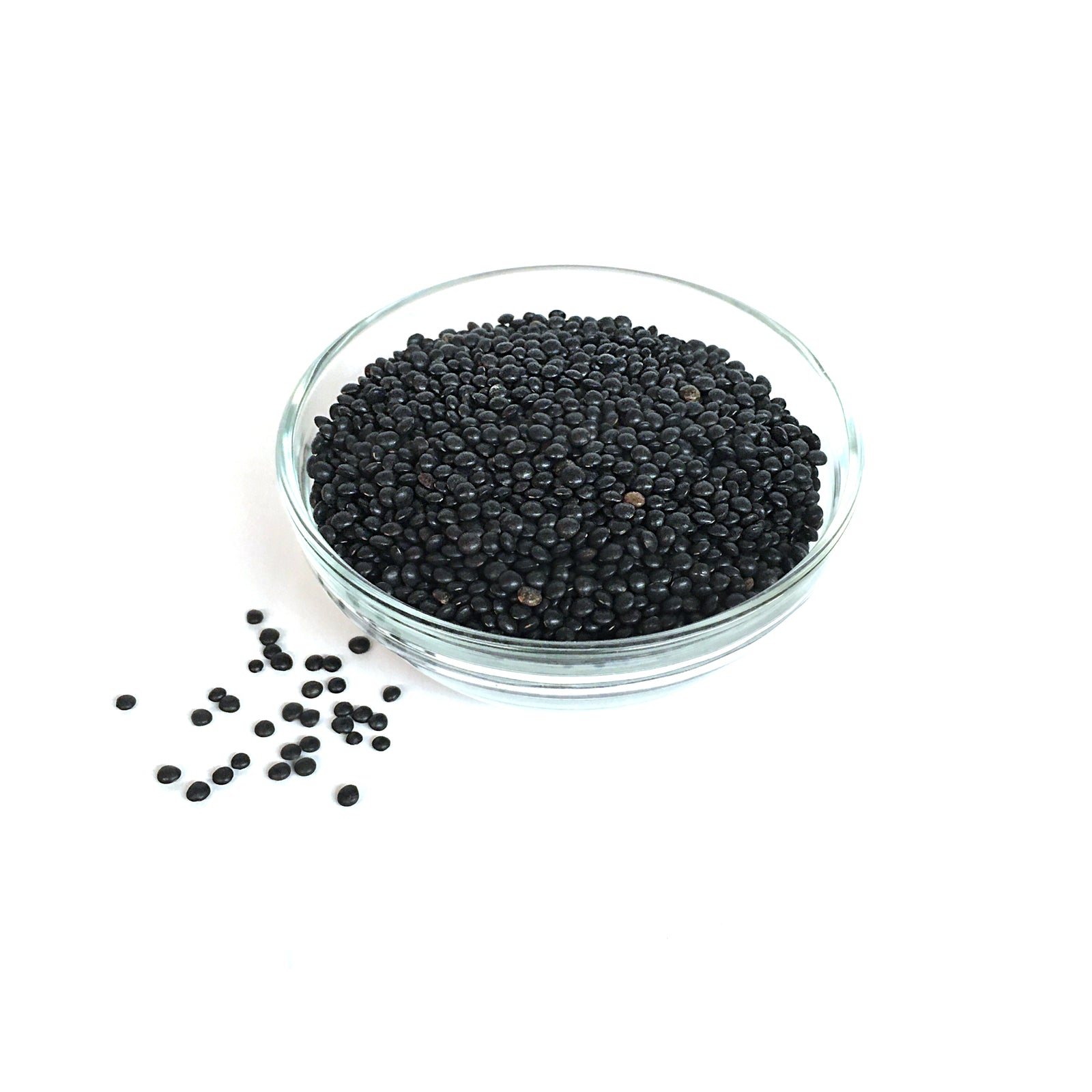Signature Lentils Black Beluga 1/2lb