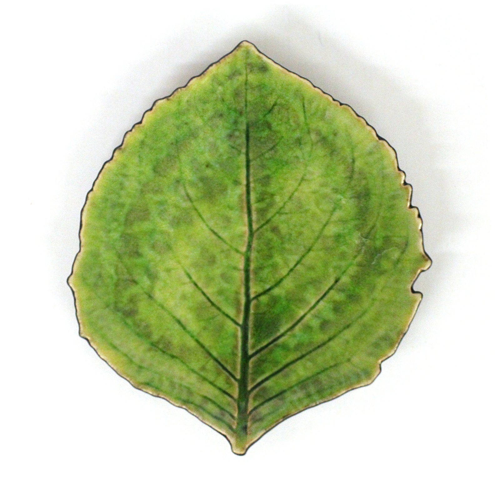 Costa Nova Dish Tomate Hydrangea Leaf