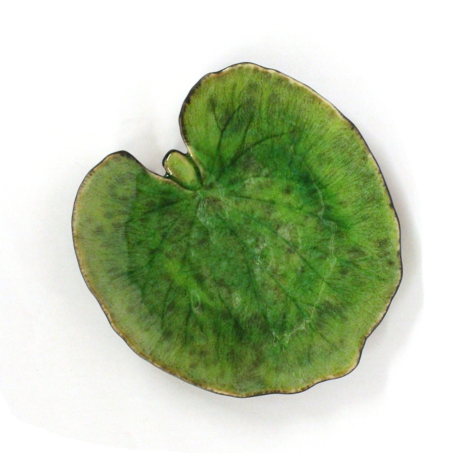 Costa Nova Dish Alchemille Leaf