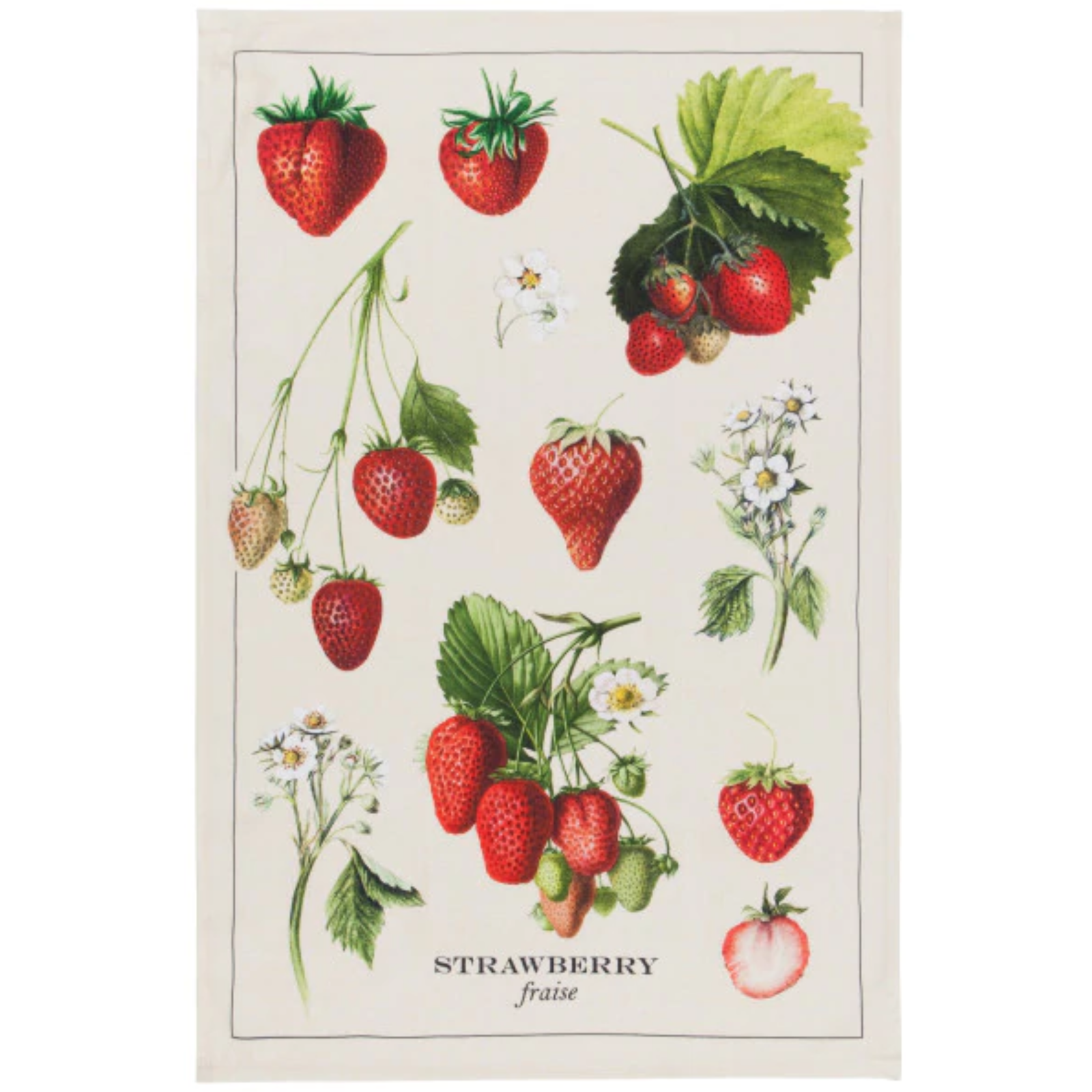 Danica Teatowel Vintage Strawberries