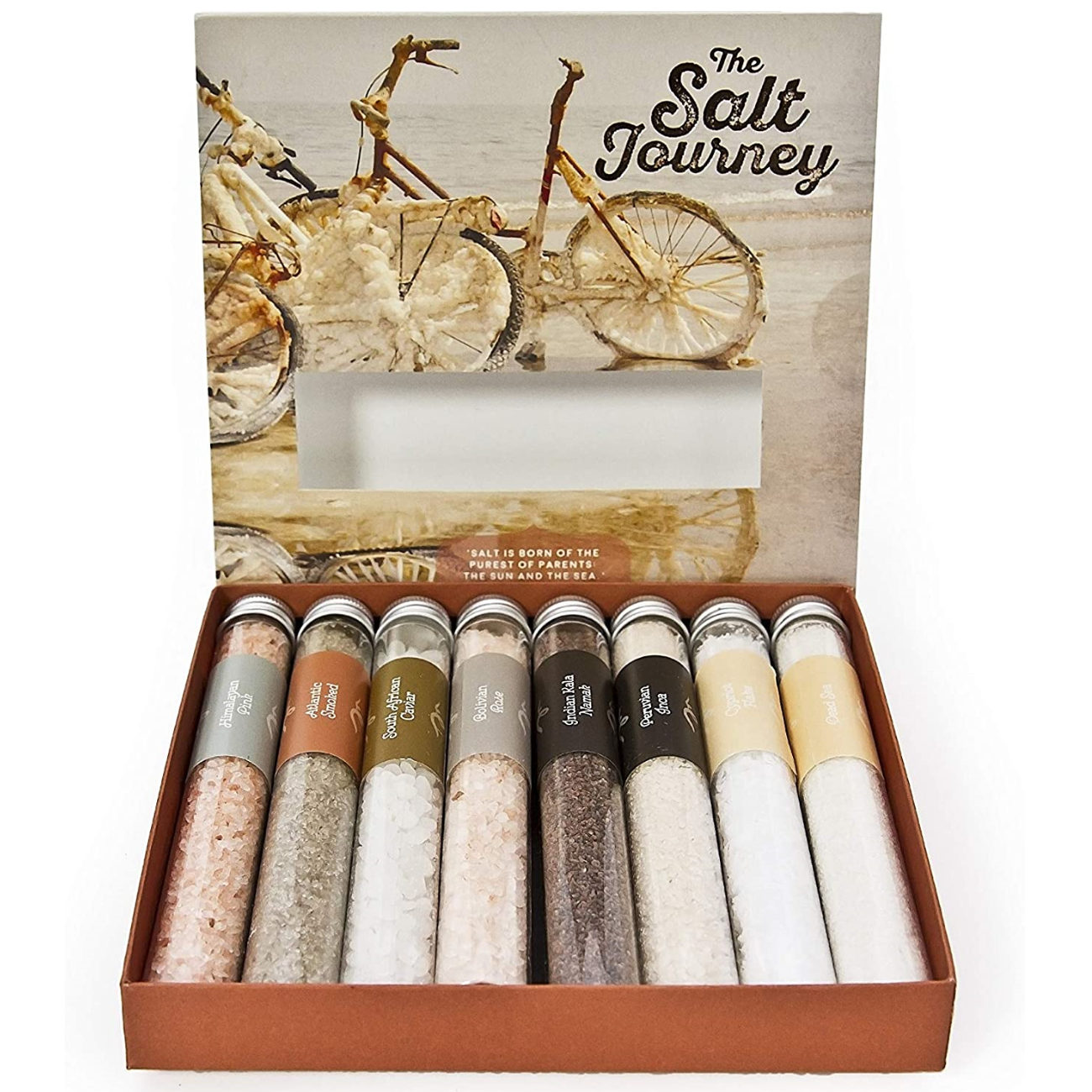 Living Food The Salt Journey